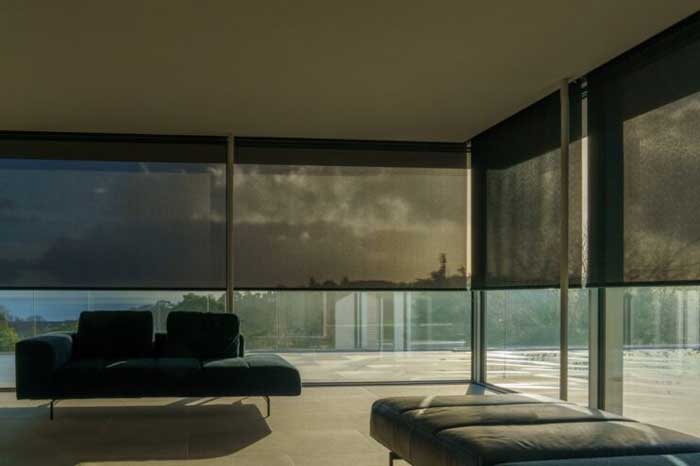 Large Evolve roller blinds